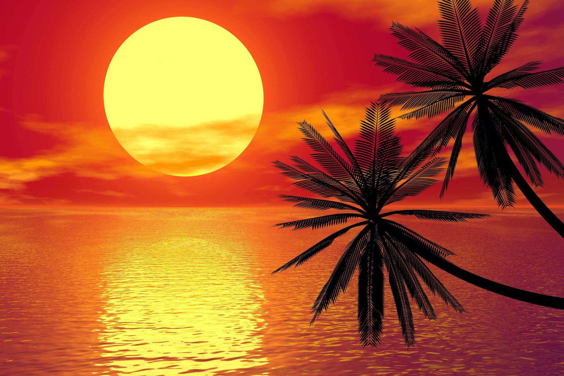 Закат солнца на море с пальмами